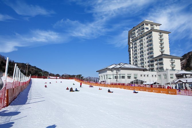 [Private Tour] Nami Island & Snow Viewing and Snow sled (More Members Less Cost) - Who will get the most from this experience