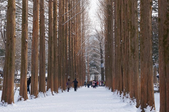 [Private Tour] Nami Island & Snow Viewing and Snow sled (More Members Less Cost) - Booking details that matter