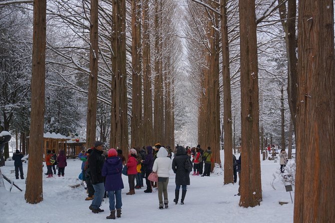 Private Tour Nami Island with Petite France 'and/or' The Garden of Morning Calm - Petite France: a playful stop with uneven appeal