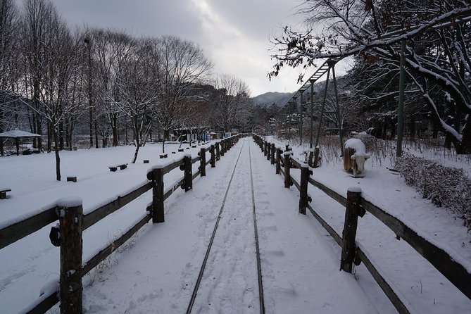 Private Tour Rail Bike & Nami Island & (Petite France or Garden of Morning Calm) - How the guide can shape your day