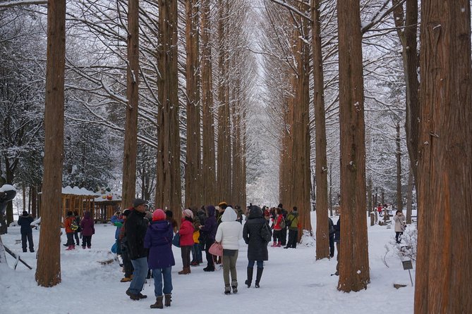 Private Tour Rail Bike & Nami Island & (Petite France or Garden of Morning Calm) - Pedaling the old railway at Gapyeong Rail Park