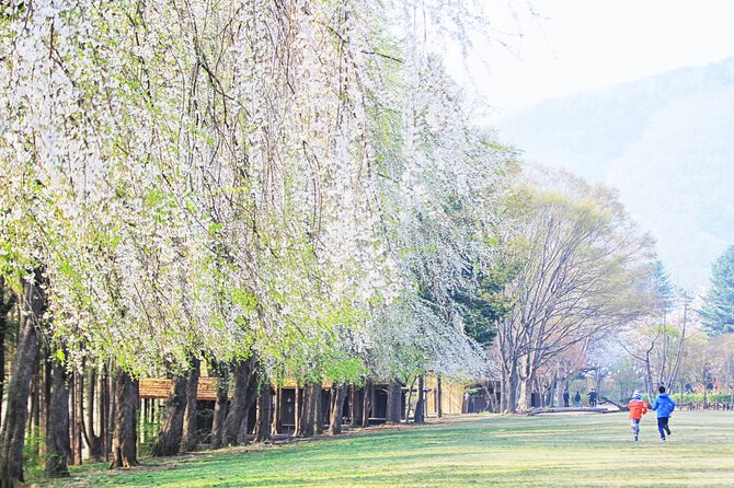 Private Tour to Alpaca world &Nami Island& Railbike with Tickets - What the private van adds to the day