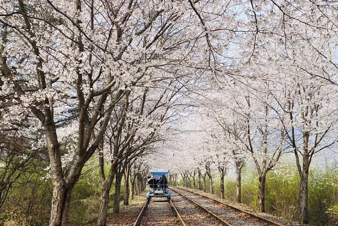 Private Tour to Alpaca world &Nami Island& Railbike with Tickets - Timing, food, and other practical details