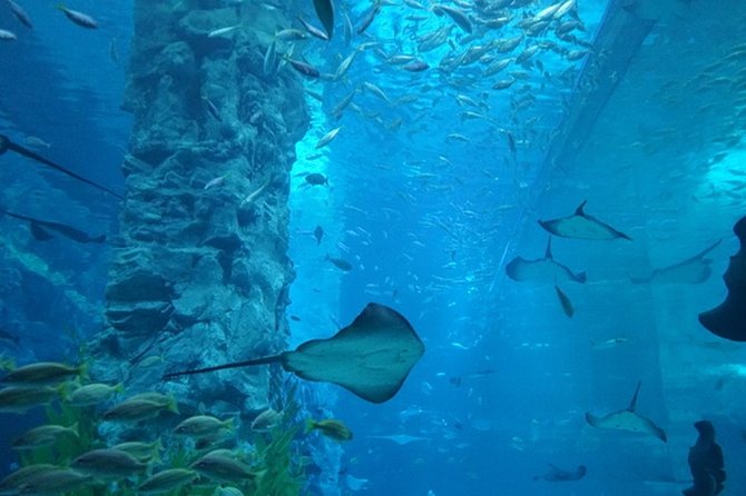 Private Tour to Lotte Tower, Aquarium and Lotte world Theme park - Three Lotte attractions, one very full Seoul day