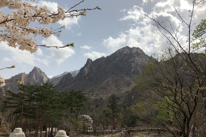 Seoraksan and Cherry Blossom Lake 1 day trip from Seoul - At a glance