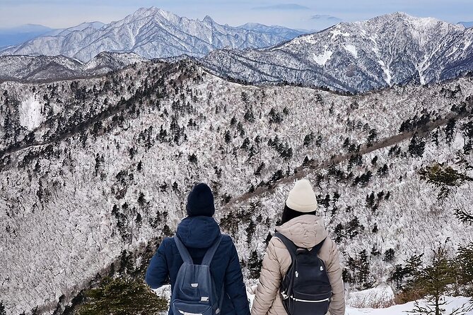 Seoraksan National Park & Nami Island - Why this day trip works from Seoul