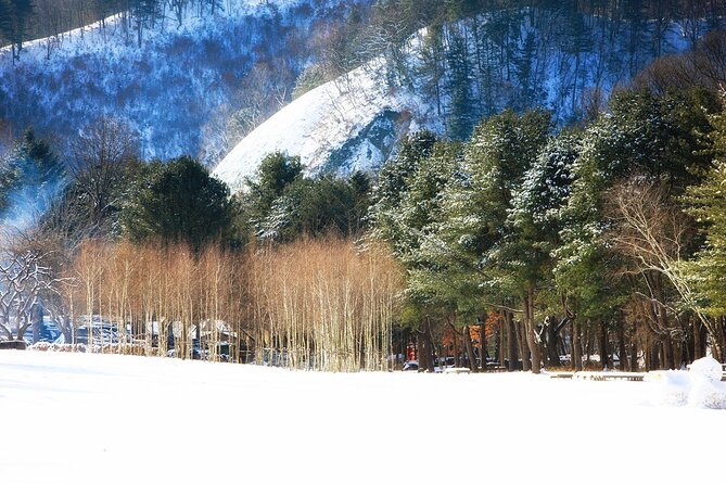 Seoraksan National Park & Nami Island - Seasonal timing changes the feel of the tour