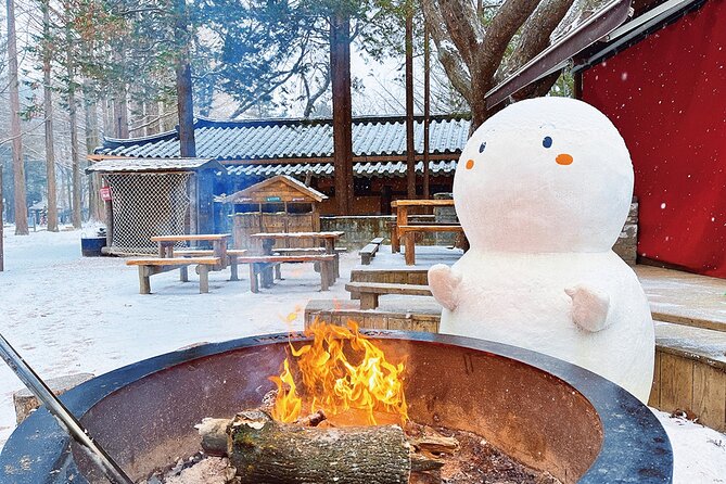 Seoraksan National Park & Nami Island - Who will get the most from this outing