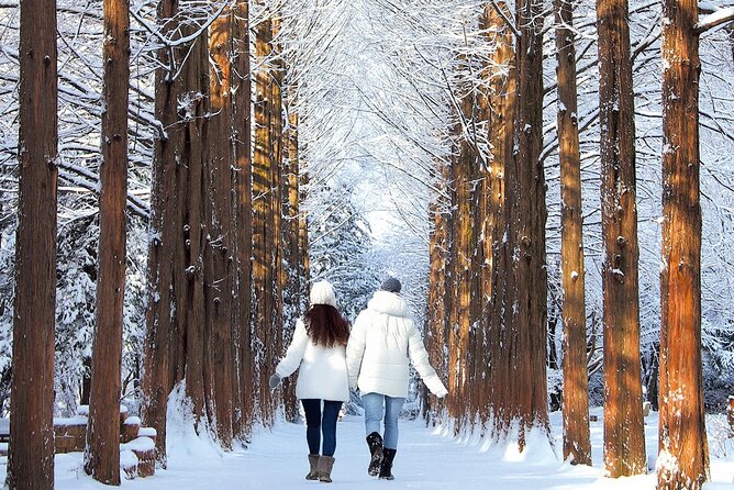 Seoraksan National Park & Nami Island - Nami Island and its tree-lined paths