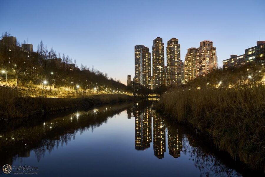 Seoul: 4-Hour Gangnam Walking Tour With Customized Itinerary - Why a private Gangnam walk can work so well
