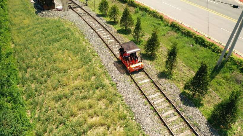 Seoul: Alpaca World and Nami Island (with Garden / Railbike) - The guide can shape the day