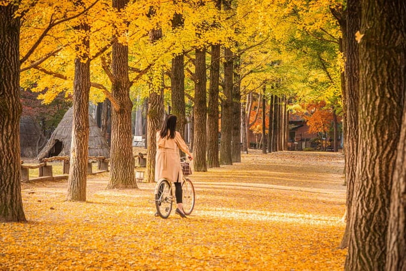 Seoul: Alpaca World & Nami Island optional Gangchon Railbike - Who should book this day