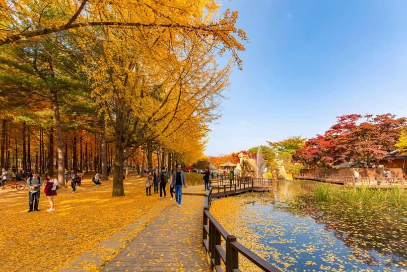 Seoul: Alpaca World & Nami Island optional Gangchon Railbike - Nami Island: the scenic center of the day