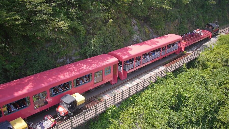 Seoul: Alpaca World & Nami Island optional Gangchon Railbike - Winter changes and weather planning