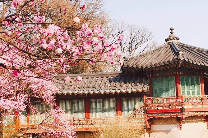 Seoul and Suburbs Private Customized Tour - Why the private car changes the day