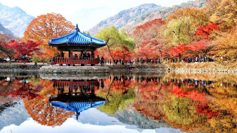 Seoul: Autumn Foliage - Mt. Naejang + Jeonju Hanok Village - Why this autumn day trip works