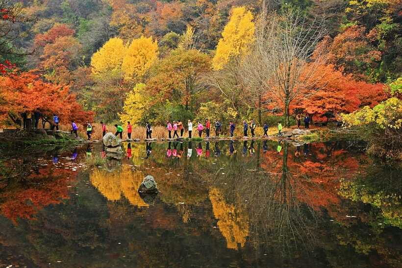 Seoul: Autumn Foliage - Mt. Naejang + Jeonju Hanok Village - The long transfer to Jeonju
