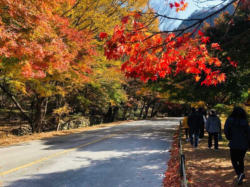Seoul: Autumn Foliage - Mt. Naejang + Jeonju Hanok Village - The return to Seoul and what the schedule means