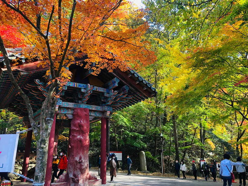 Seoul: Autumn Foliage - Mt. Naejang + Jeonju Hanok Village - Is $61 a fair price?