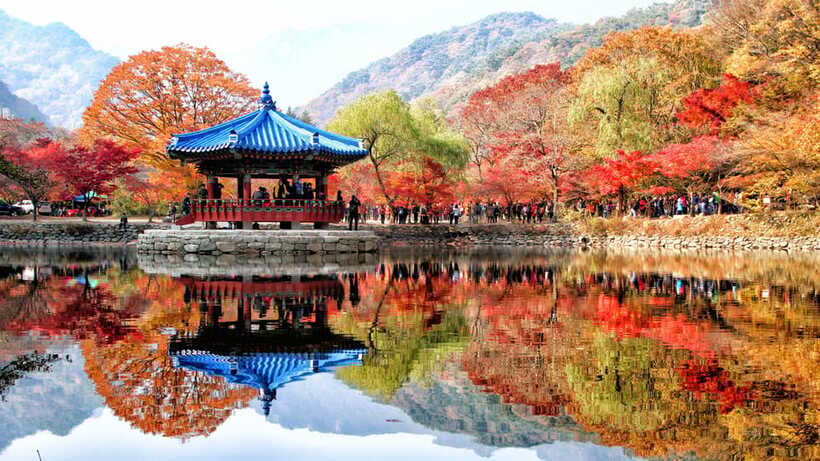 Seoul: Autumn Foliage - Mt. Naejang + Jeonju Hanok Village - Who should book this trip?