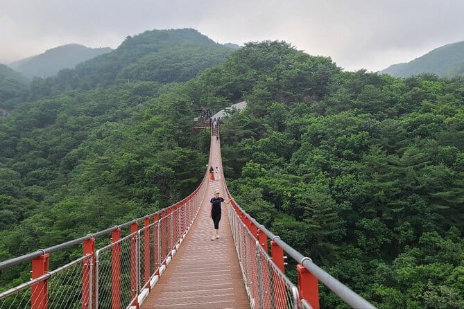 Seoul Beauty & Beyond Tour - What the $245.21 price really covers