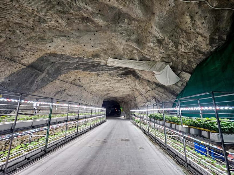 Seoul: Chungju Cruise, Cable Car & Cave Kayak Adventure Tour - How the three activities fit together