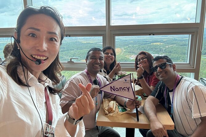 Seoul City Private Tour (Optional : Seoul, DMZ, Nami Island) - The DMZ option brings a serious historical focus
