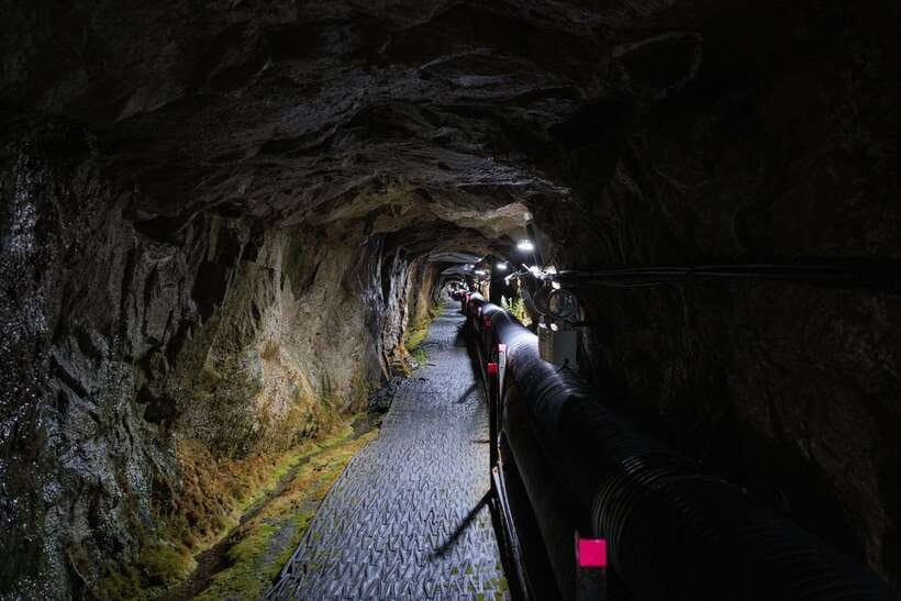 Seoul: DMZ 2nd Tunnel and Suspension Bridge Tour - What the $87 price includes