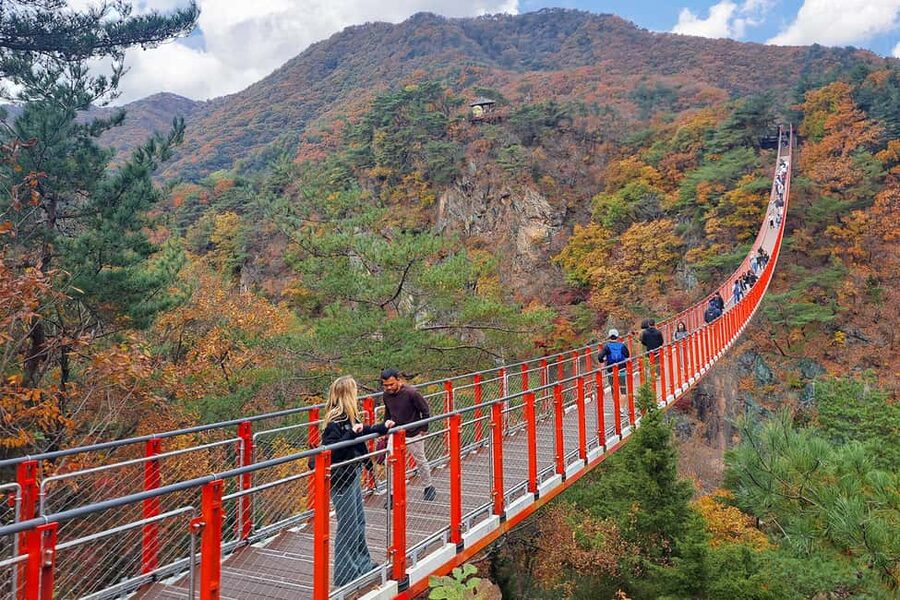 Seoul: DMZ Guided Tour with Suspension Bridge and Gondola - Key points to know before booking
