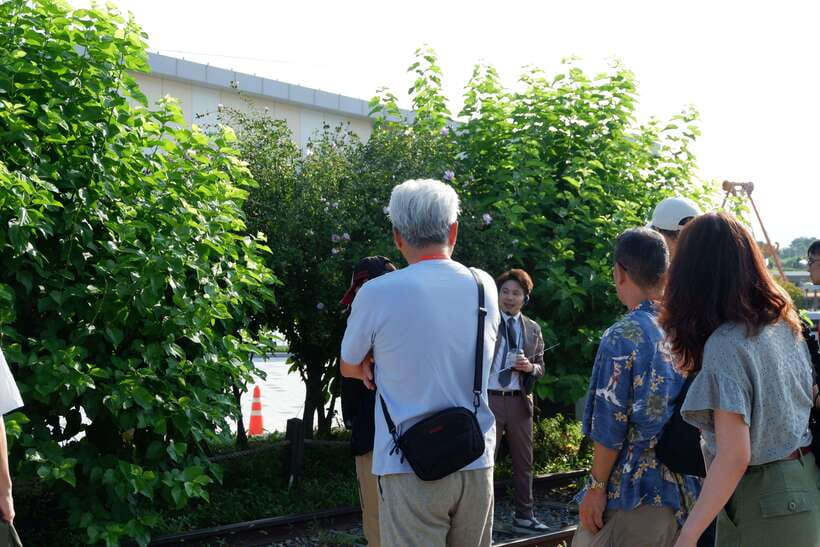 Seoul: DMZ Tour with Japanese-Speaking Guide - What the $50 price really buys you