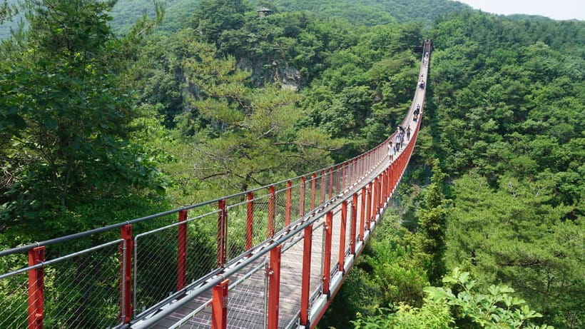 Seoul: DMZ Tour with Optional Suspension Bridge - Key points to know before booking