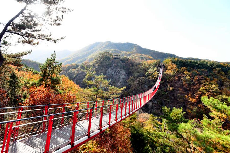 Seoul: DMZ Tour with Optional Suspension Bridge - Why the DMZ is worth a full day from Seoul
