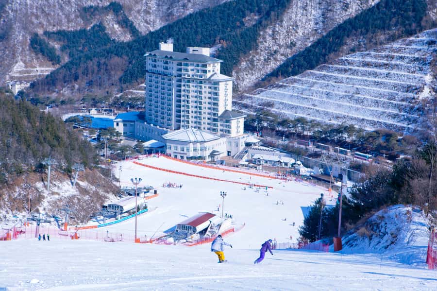Seoul: Elysian Gangchon Winter Ski Resort Fun Day Tour - Return timing and the long winter day