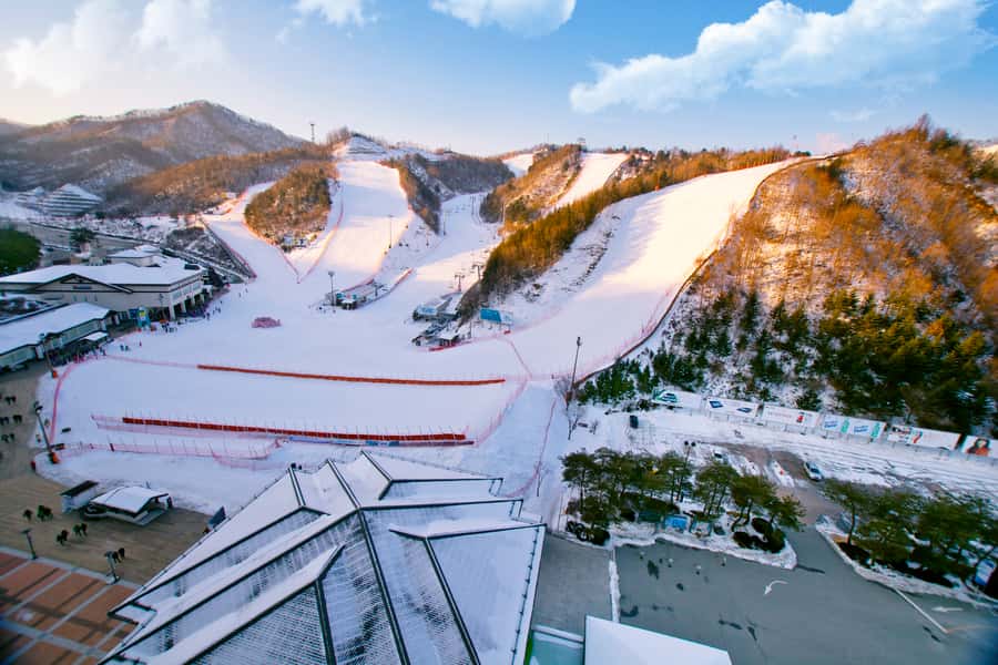 Seoul: Elysian Gangchon Winter Ski Resort Fun Day Tour - What happens during the one-hour lesson