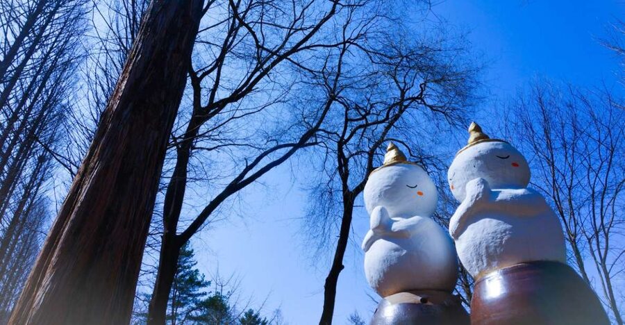 Seoul: Elysian Gangchon Winter Ski with Nami Island Day Tour - Nami Island in winter: quiet paths and white trees