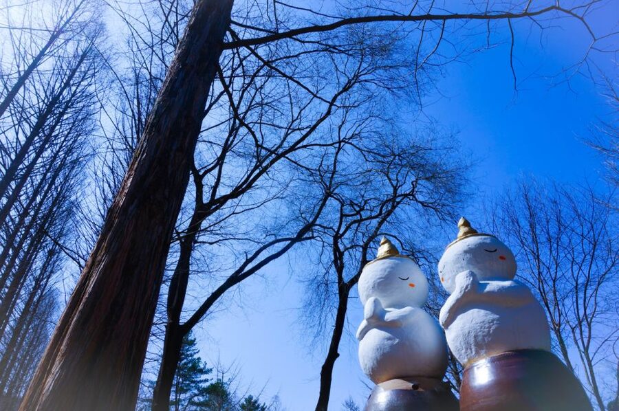 Seoul: Elysian Gangchon Winter Ski with Nami Island Day Tour - Elysian Gangchon and the one-hour beginner lesson