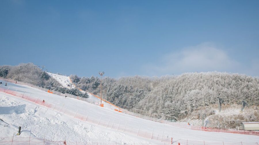Seoul: Elysian Gangchon Winter Ski with Nami Island Day Tour - Choosing among the five packages