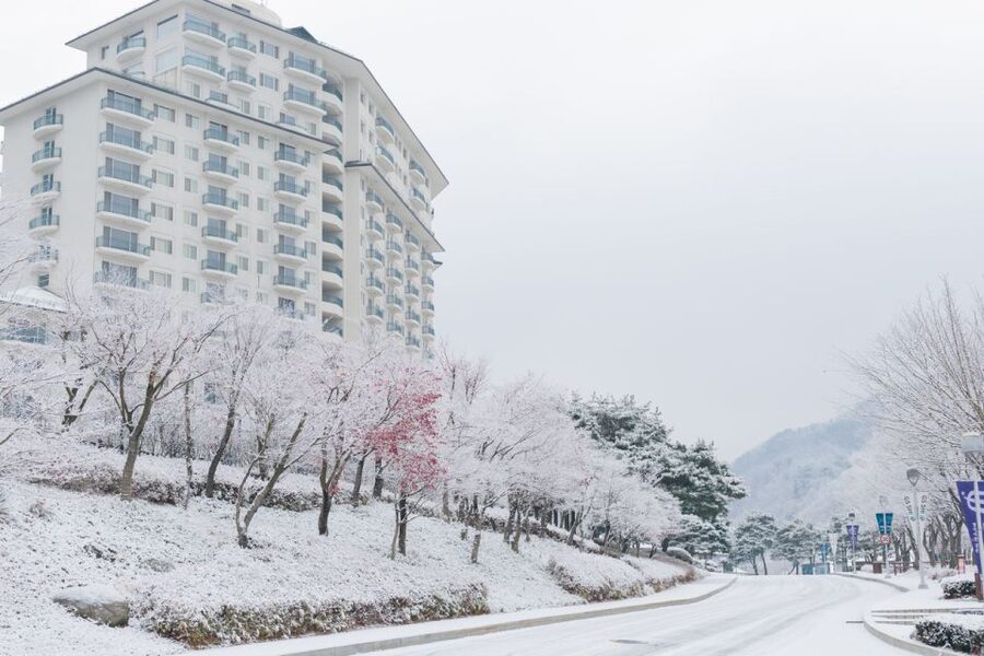 Seoul: Elysian Gangchon Winter Ski with Nami Island Day Tour - Who should book this experience