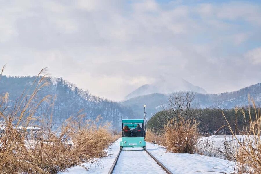 Seoul: Eobi Ice Valley, Alpaca World, Nami Island and More - A winter day outside Seoul