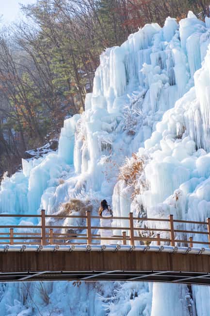 Seoul: Eobi Ice Valley, Alpaca World, Nami Island and More - Alpaca World: the most playful stop