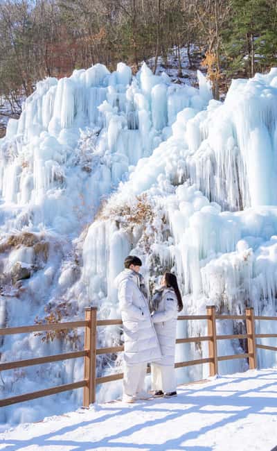 Seoul: Eobi Ice Valley, Alpaca World, Nami Island and More - Who should book this day trip?