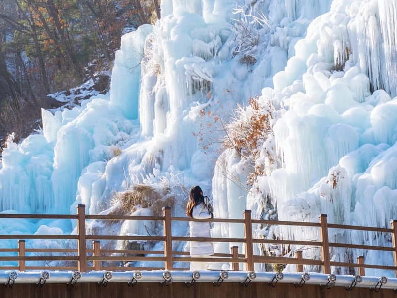 Seoul: Eobi Valley(Winter), Strawberry, Nami Island and Bike - Should you book it?