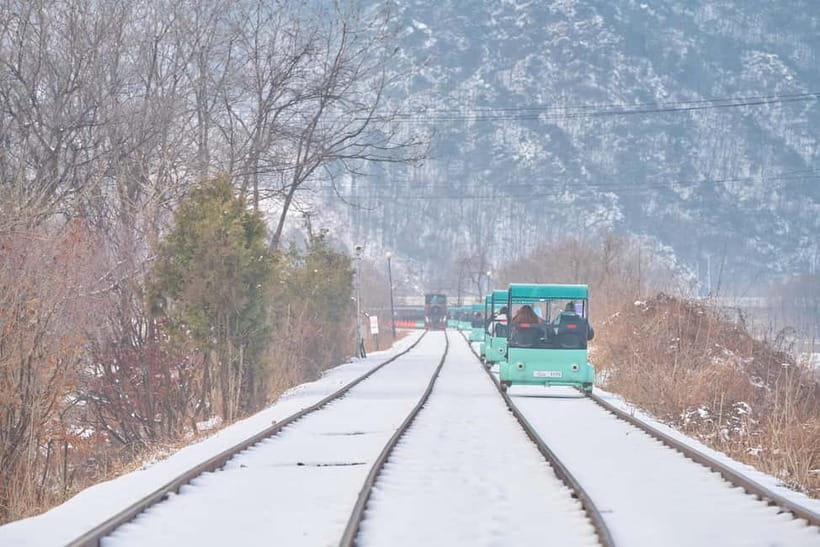 Seoul: Eobi Valley(Winter), Strawberry, Nami Island and Bike - Three and a half hours on Nami Island