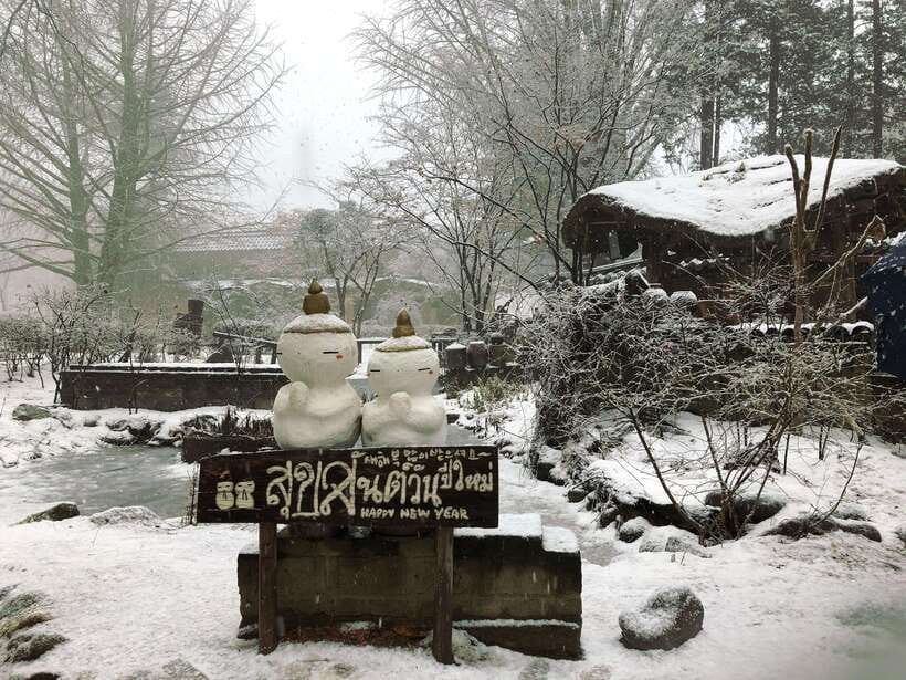 Seoul: Full-Day Winter Trip Ski Resort, Ice Valley, Namiseom - What to wear for a cold resort day