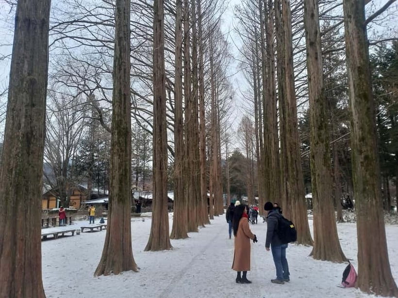 Seoul: Full-Day Winter Trip Ski Resort, Ice Valley, Namiseom - Who should book this winter trip?