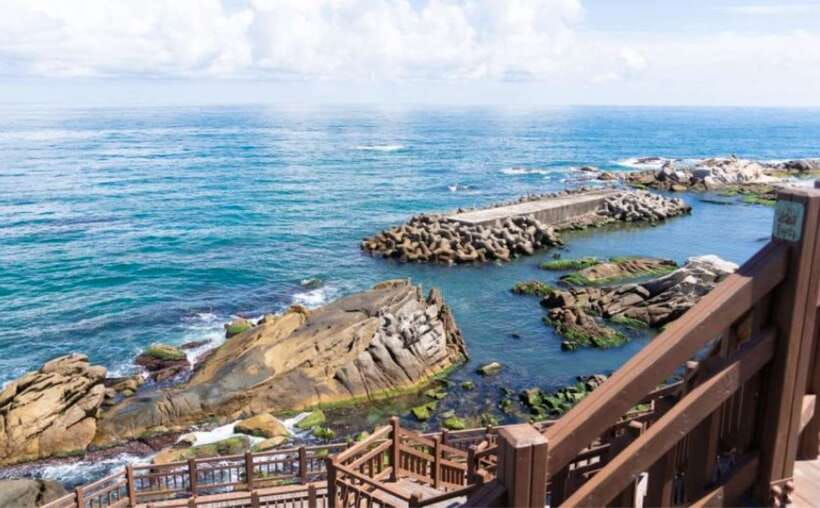 Seoul: Gangneung BTS K-Pop & K-Drama Filming Locations Tour - Anmok Beach and Gangneung Coffee Street