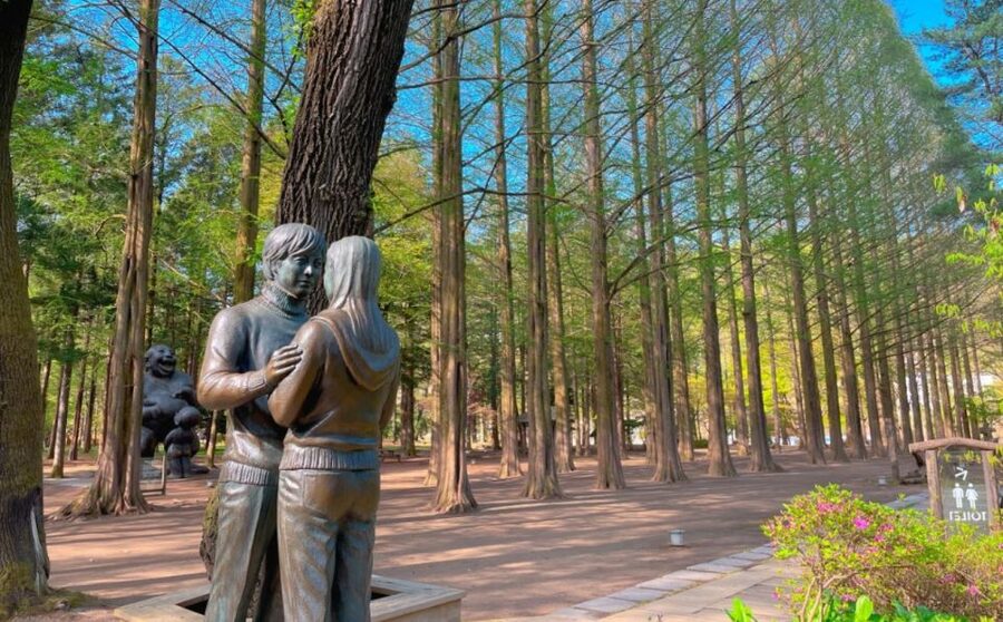 Seoul: Gangwon-do Day Trip with Alpaca World & Nami Island - Gangchon Rail Park: the active option