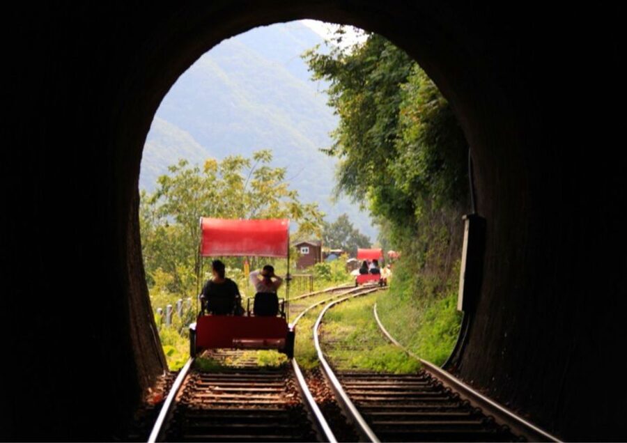 Seoul: Gangwon-do Day Trip with Alpaca World & Nami Island - Garden of Morning Calm: the quieter alternative