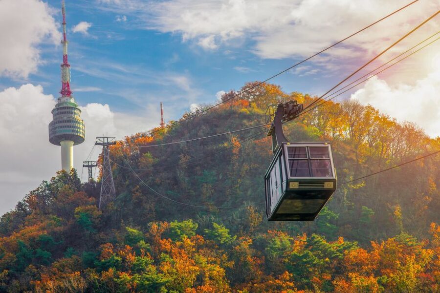 Seoul: Gyeongbok Palace and Bukchon Hanok Walking Tour - Who should book this Seoul walk?