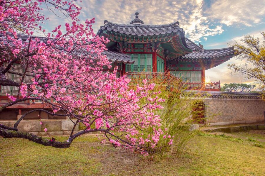 Seoul: Gyeongbok Palace and Bukchon Hanok Walking Tour - Why this makes a smart first morning in Seoul